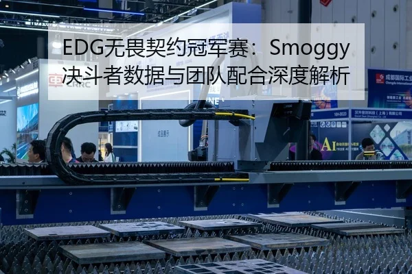 EDG无畏契约冠军赛：Smoggy决斗者数据与团队配合深度解析